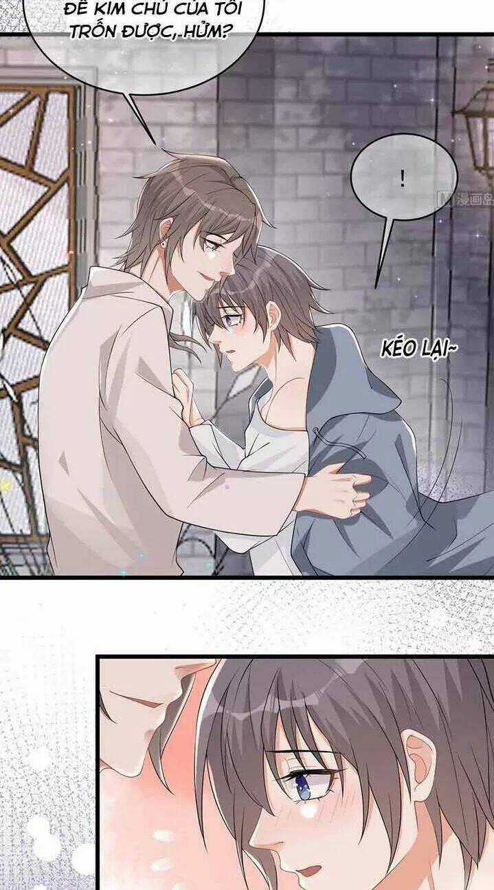 Ảnh Đế Làm Loạn Đòi Ly Hôn Chapter 32 trang 16