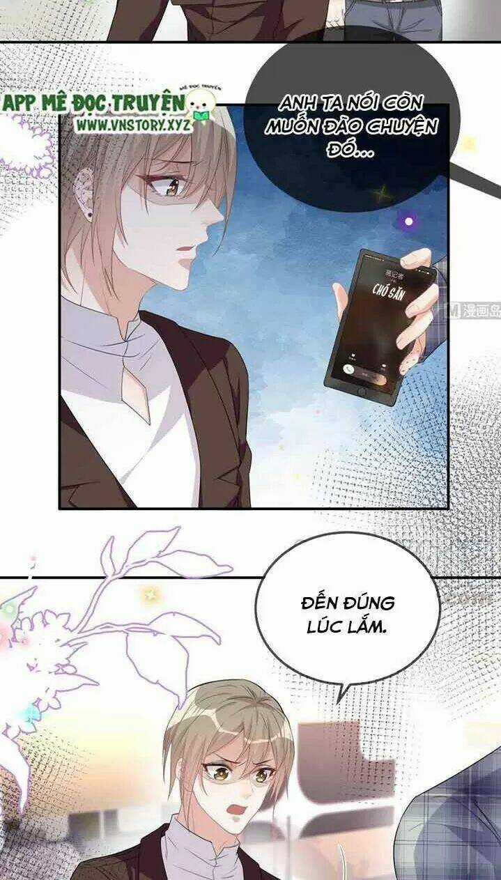 Ảnh Đế Làm Loạn Đòi Ly Hôn Chapter 41 trang 14