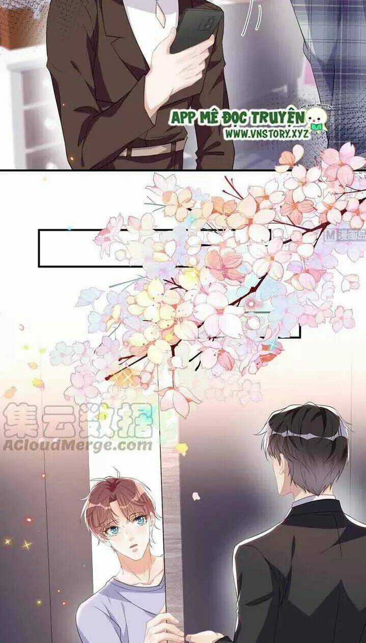 Ảnh Đế Làm Loạn Đòi Ly Hôn Chapter 41 trang 15