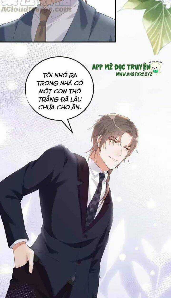 Ảnh Đế Làm Loạn Đòi Ly Hôn Chapter 42 trang 24