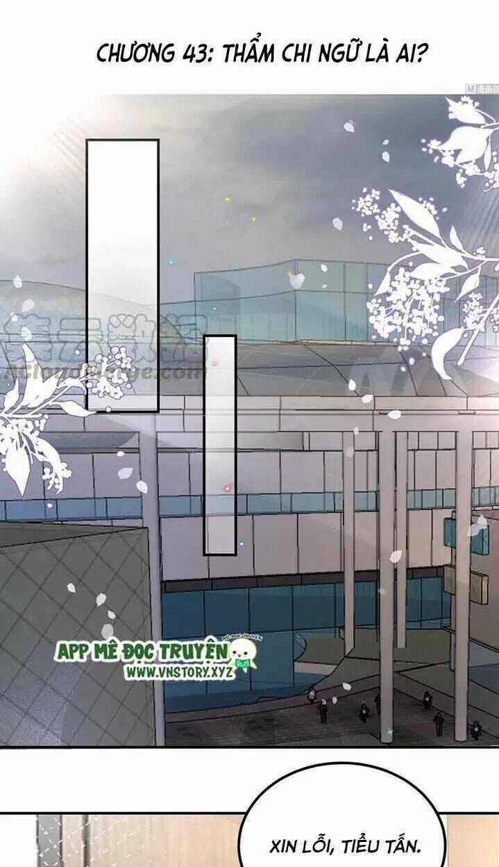 Ảnh Đế Làm Loạn Đòi Ly Hôn Chapter 43 trang 0