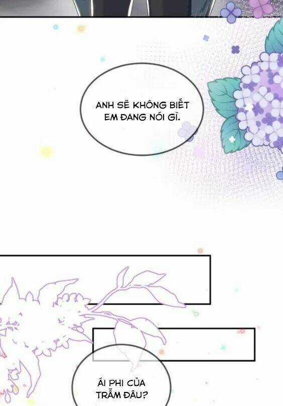 Ảnh Đế Làm Loạn Đòi Ly Hôn Chapter 46 trang 25