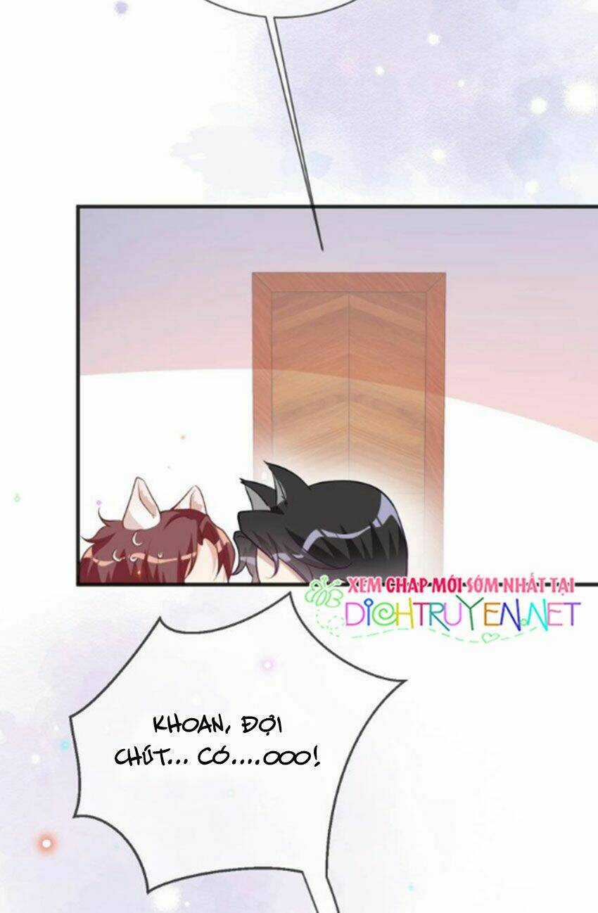 Ảnh Đế Làm Loạn Đòi Ly Hôn Chapter 5 trang 5