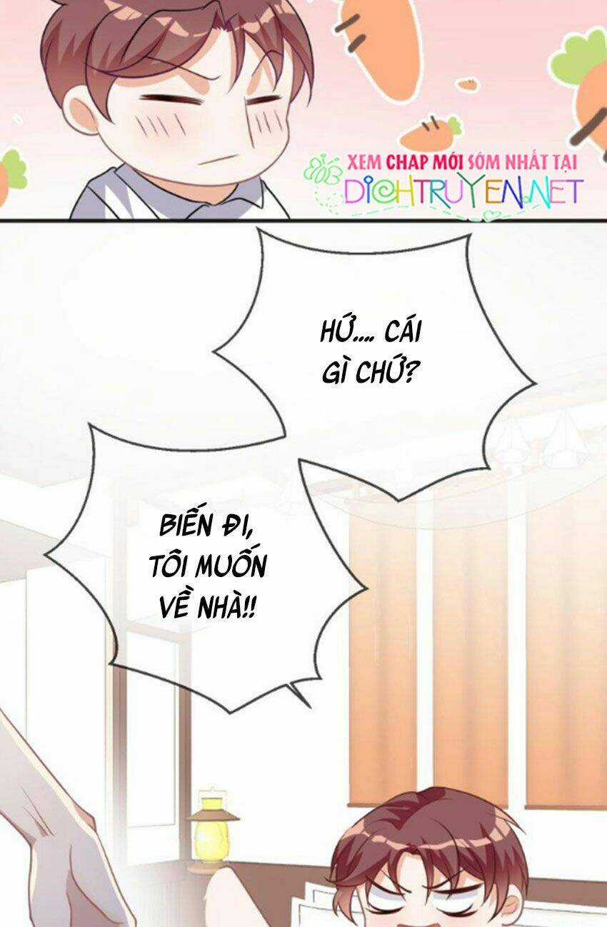 Ảnh Đế Làm Loạn Đòi Ly Hôn Chapter 5 trang 9