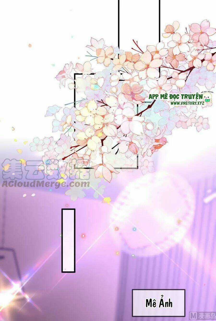 Ảnh Đế Làm Loạn Đòi Ly Hôn Chapter 60 trang 24