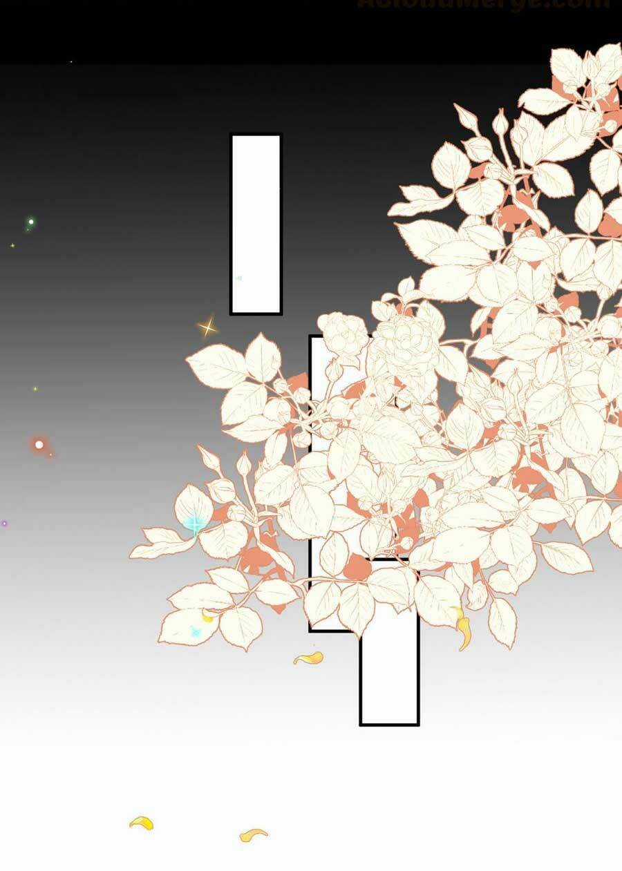 Ảnh Đế Làm Loạn Đòi Ly Hôn Chapter 64 trang 6