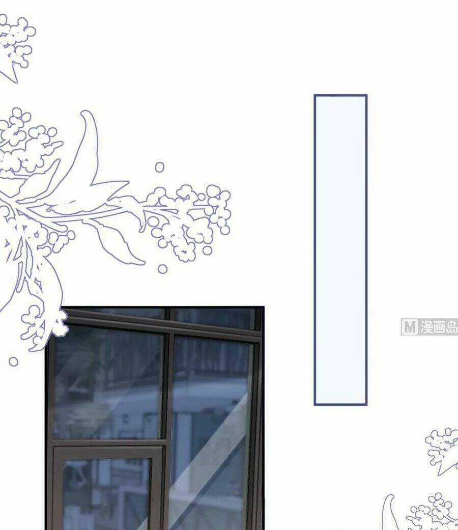 Ảnh Đế Làm Loạn Đòi Ly Hôn Chapter 65 trang 5