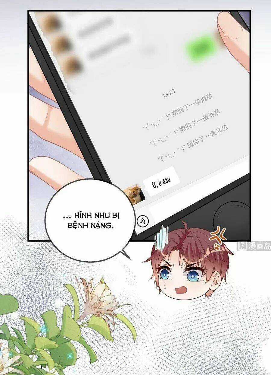 Ảnh Đế Làm Loạn Đòi Ly Hôn Chapter 73 trang 17