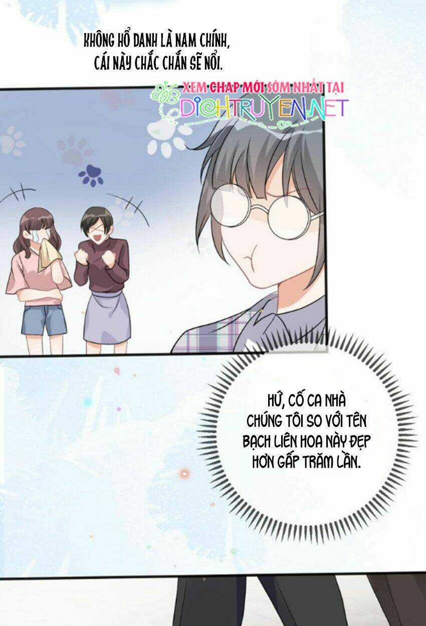 Ảnh Đế Làm Loạn Đòi Ly Hôn Chapter 8 trang 5