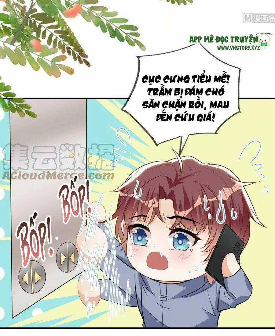 Ảnh Đế Làm Loạn Đòi Ly Hôn Chapter 81 trang 19