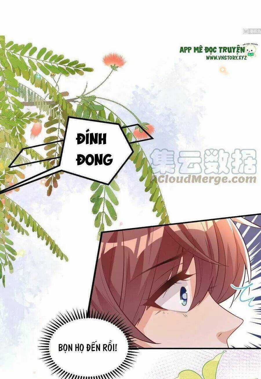 Ảnh Đế Làm Loạn Đòi Ly Hôn Chapter 82 trang 3