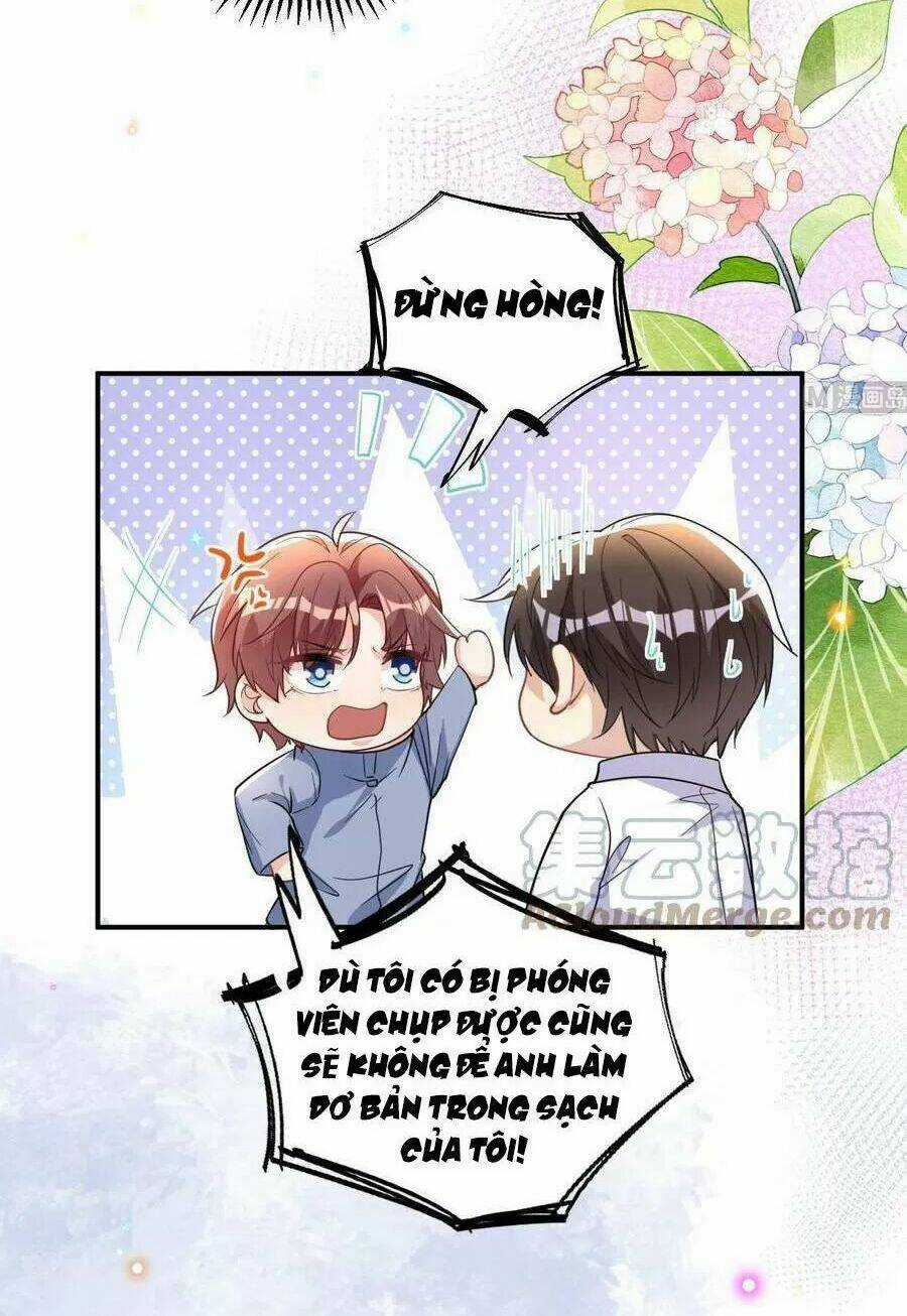 Ảnh Đế Làm Loạn Đòi Ly Hôn Chapter 82 trang 4