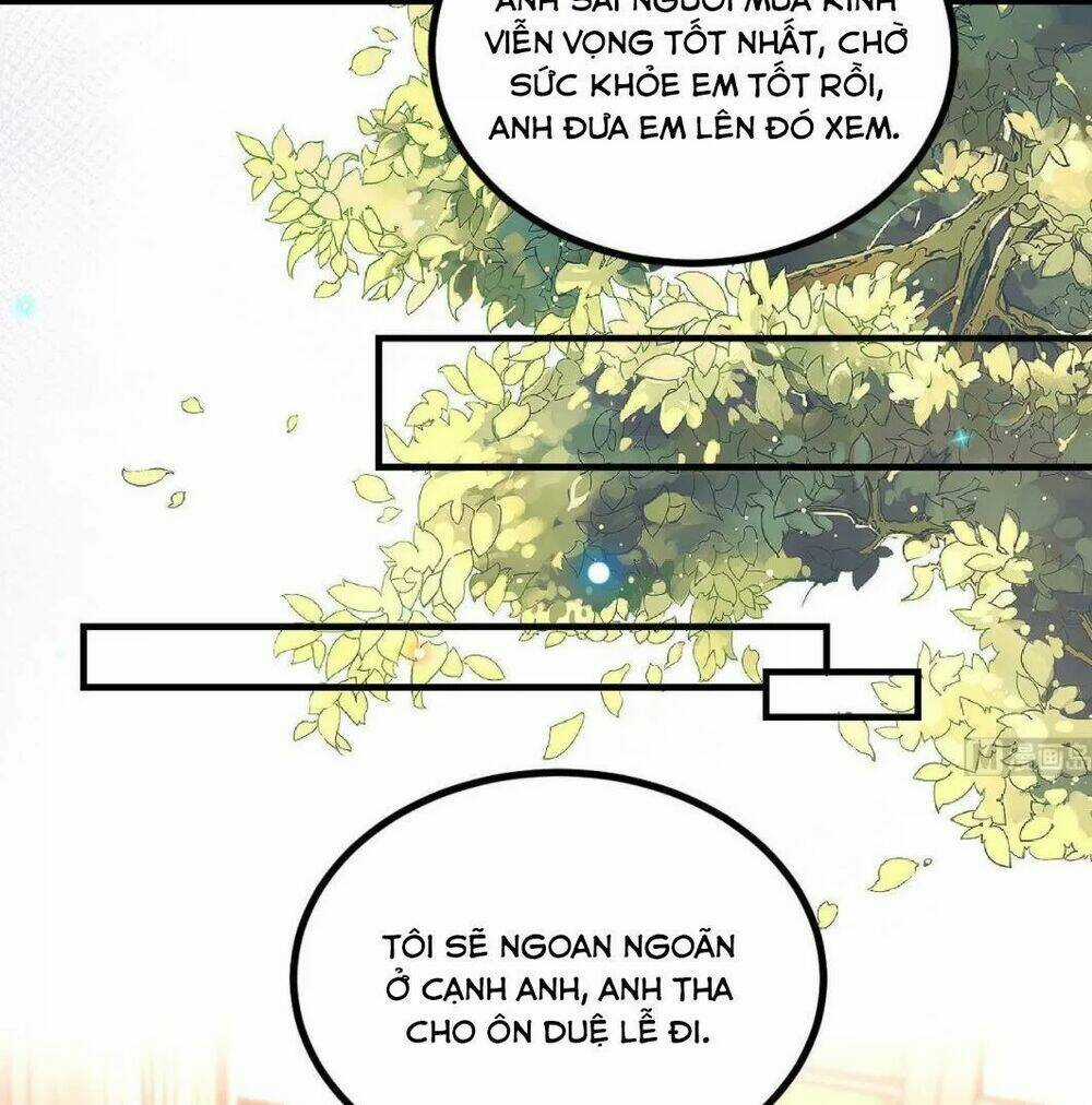 Ảnh Đế Làm Loạn Đòi Ly Hôn Chapter 83 trang 37