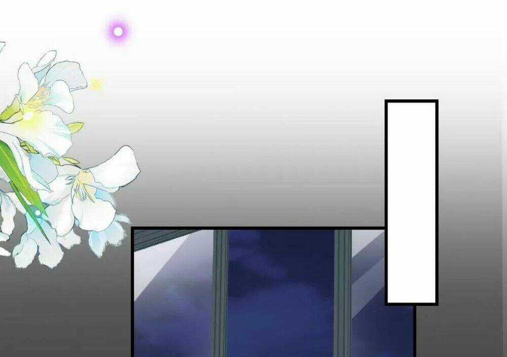 Ảnh Đế Làm Loạn Đòi Ly Hôn Chapter 84 trang 38