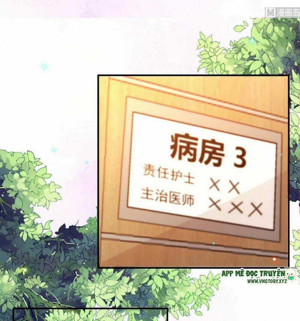 Ảnh Đế Làm Loạn Đòi Ly Hôn Chapter 85 trang 28