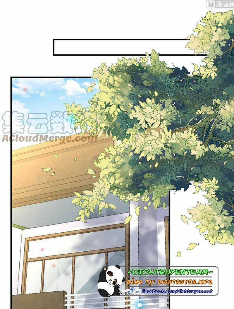 Ảnh Đế Làm Loạn Đòi Ly Hôn Chapter 90 trang 28