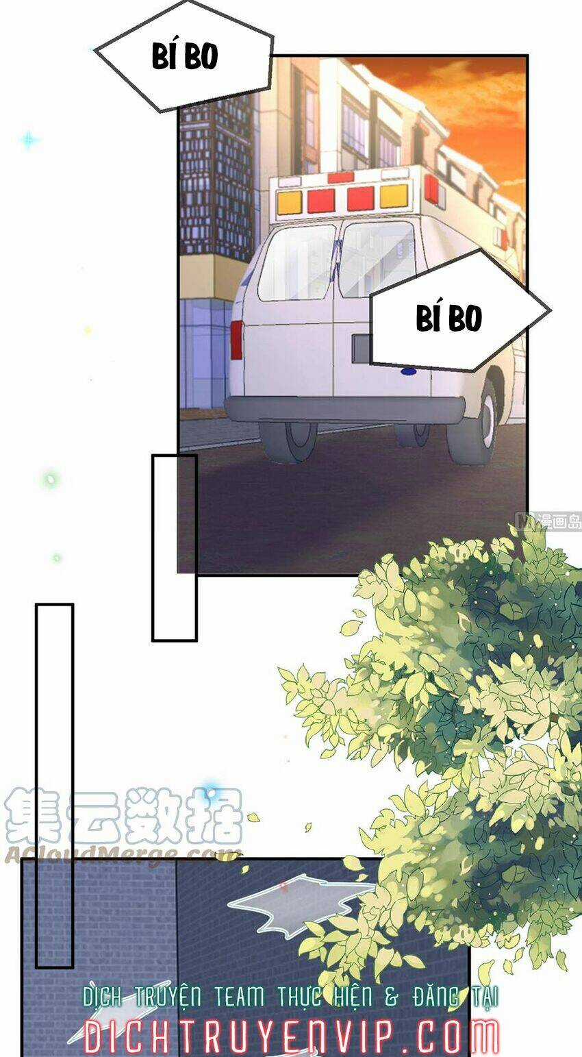 Ảnh Đế Làm Loạn Đòi Ly Hôn Chapter 93 trang 12