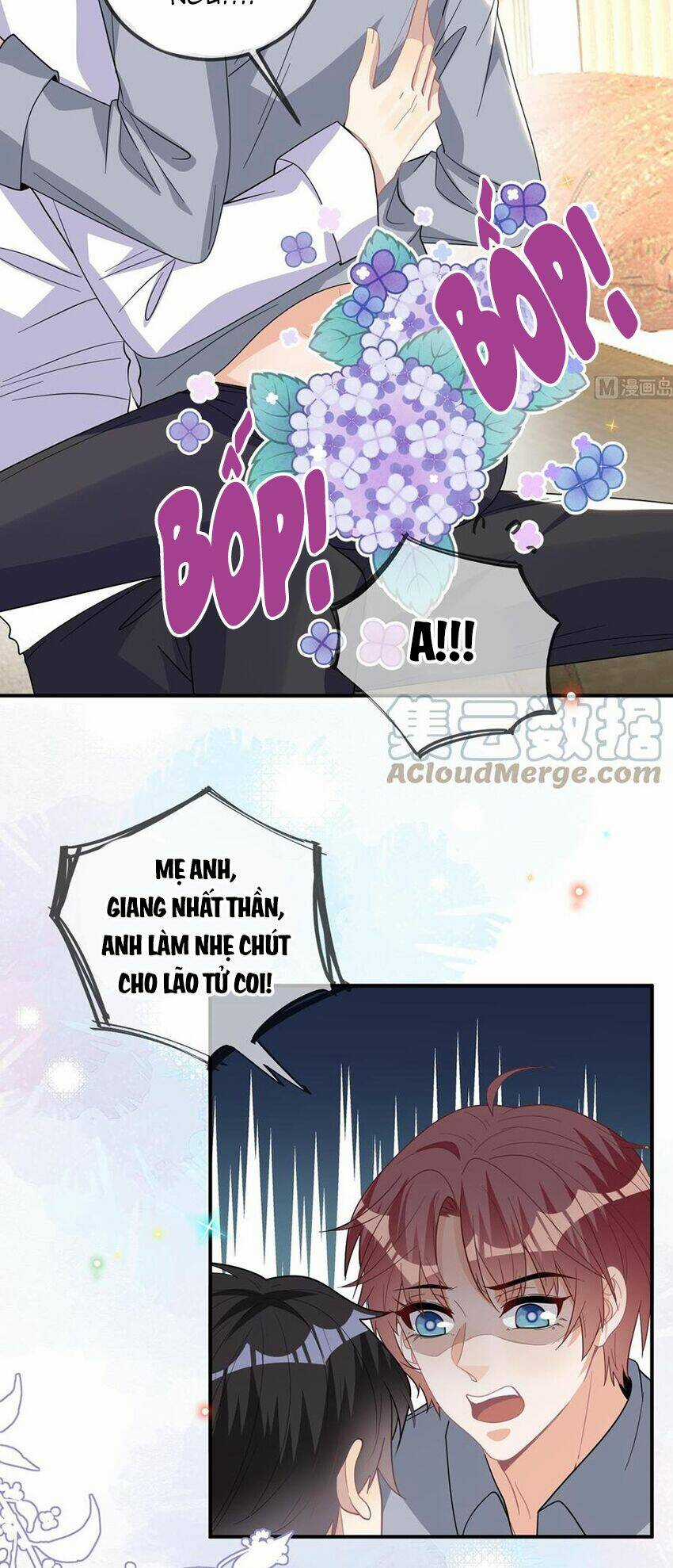 Ảnh Đế Làm Loạn Đòi Ly Hôn Chapter 95 trang 14