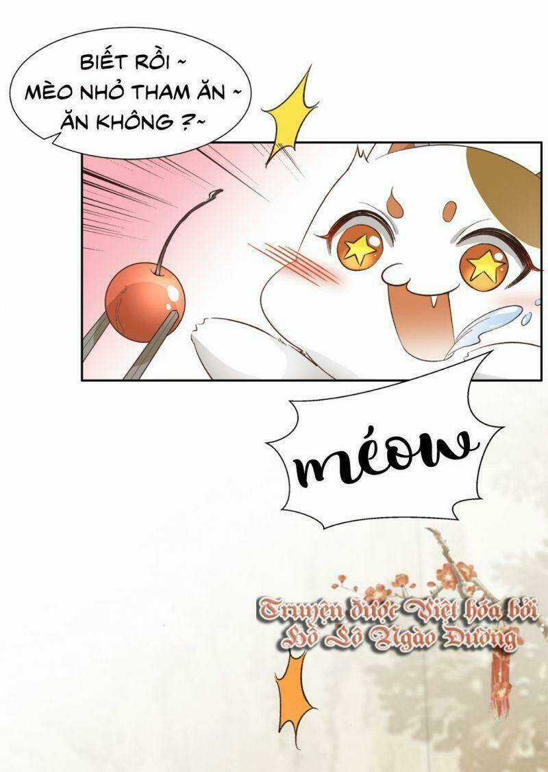 Ảnh Đế Yêu Hồ Chapter 10 trang 11