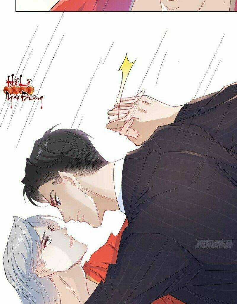 Ảnh Đế Yêu Hồ Chapter 16 trang 15