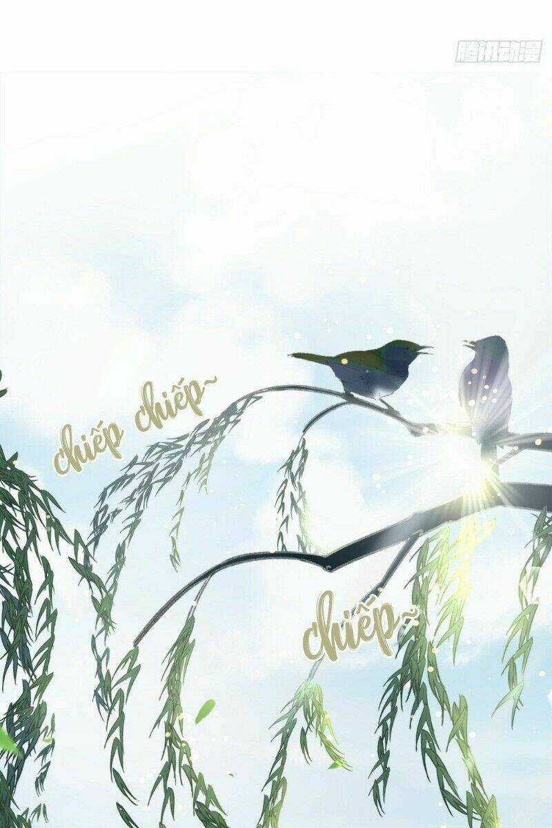 Ảnh Đế Yêu Hồ Chapter 17 trang 10