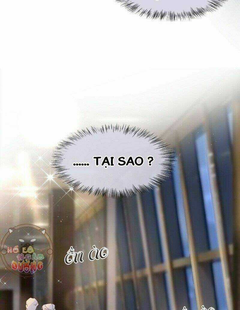 Ảnh Đế Yêu Hồ Chapter 23 trang 4