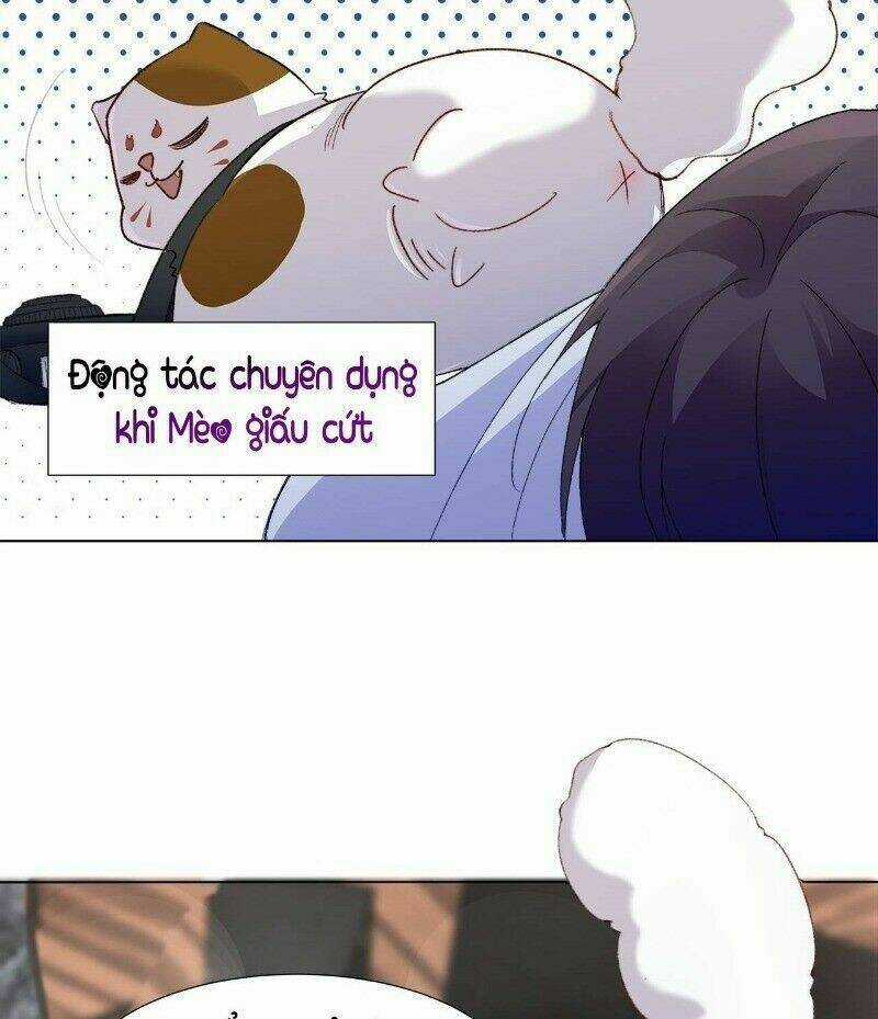 Ảnh Đế Yêu Hồ Chapter 24 trang 13