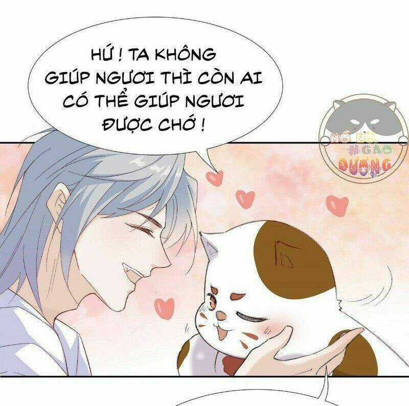 Ảnh Đế Yêu Hồ Chapter 24 trang 15