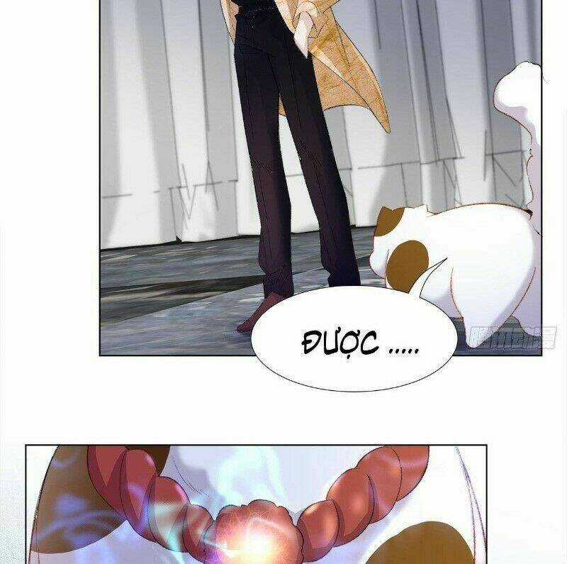 Ảnh Đế Yêu Hồ Chapter 24 trang 24