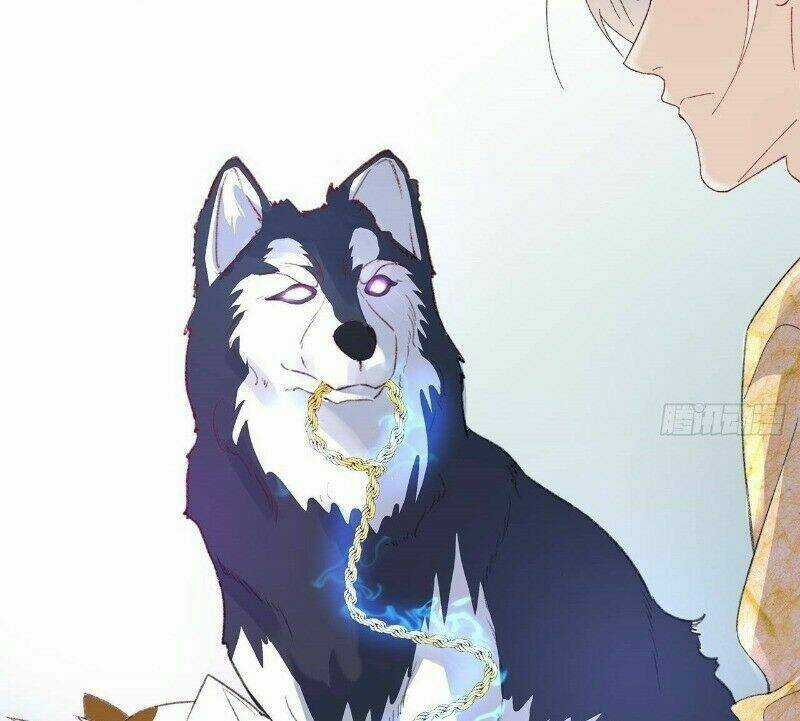 Ảnh Đế Yêu Hồ Chapter 24 trang 34