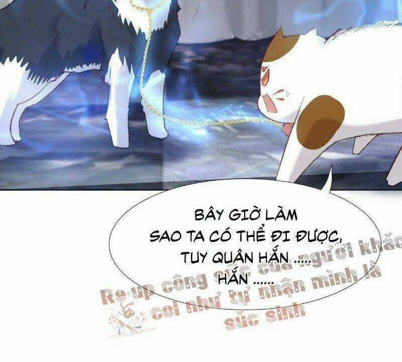 Ảnh Đế Yêu Hồ Chapter 24 trang 38