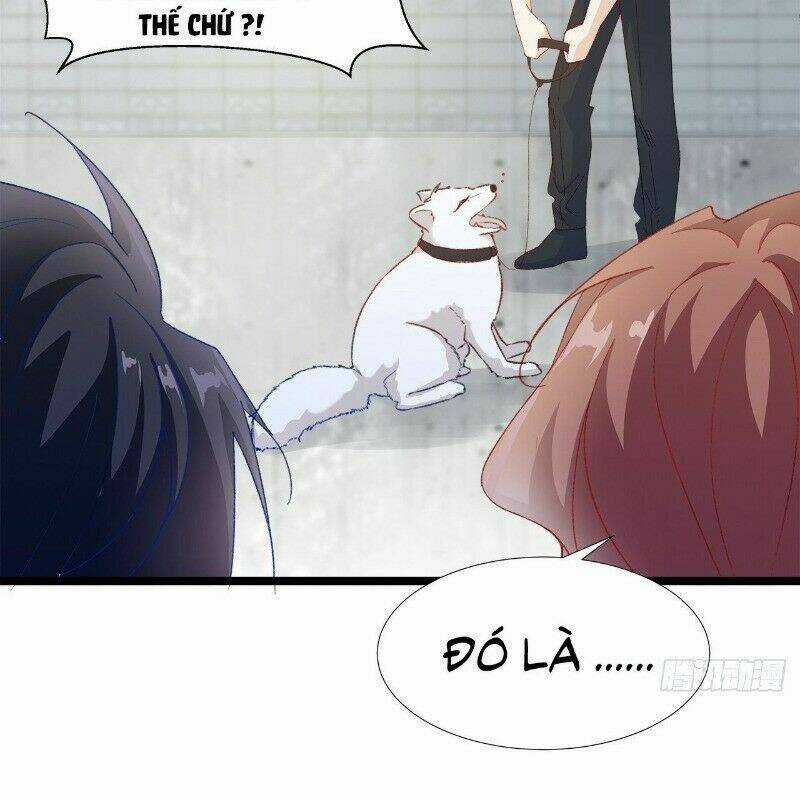 Ảnh Đế Yêu Hồ Chapter 29 trang 27