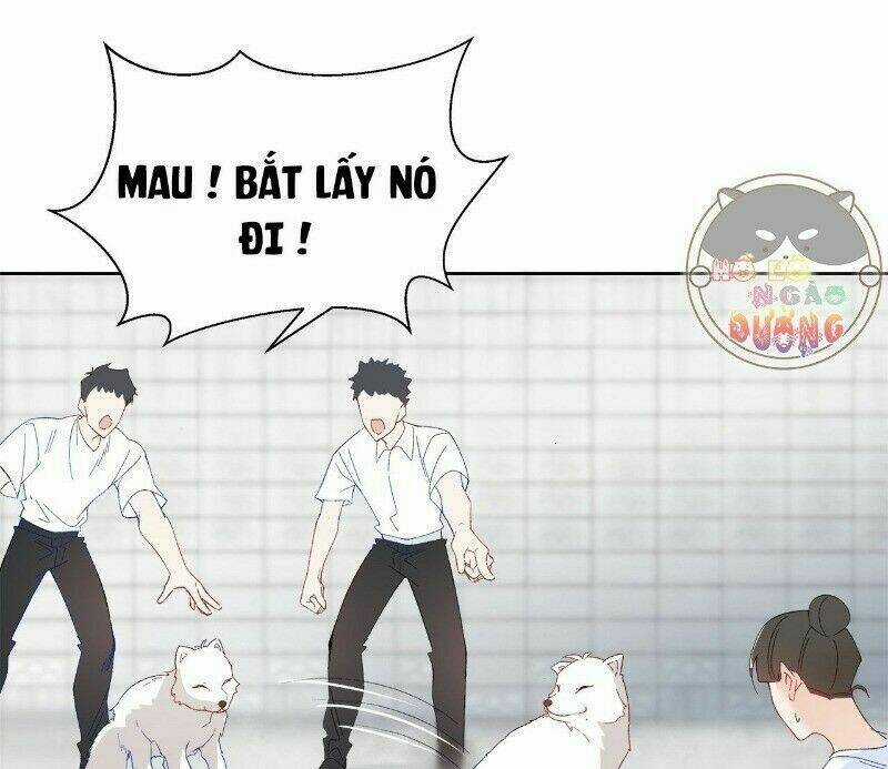 Ảnh Đế Yêu Hồ Chapter 29 trang 30