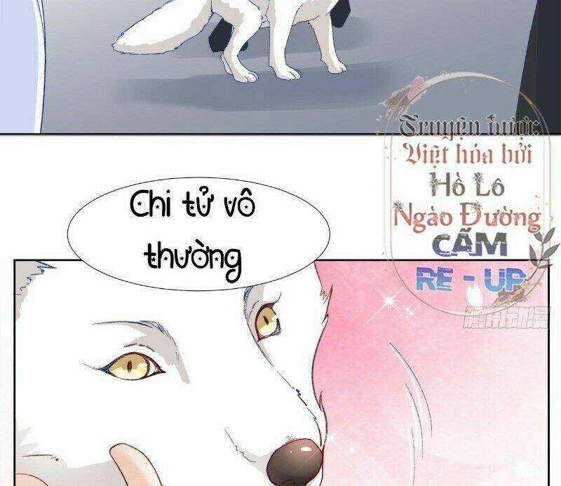 Ảnh Đế Yêu Hồ Chapter 29 trang 37
