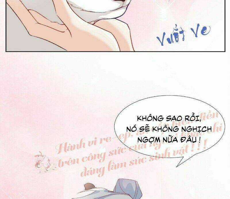 Ảnh Đế Yêu Hồ Chapter 29 trang 38