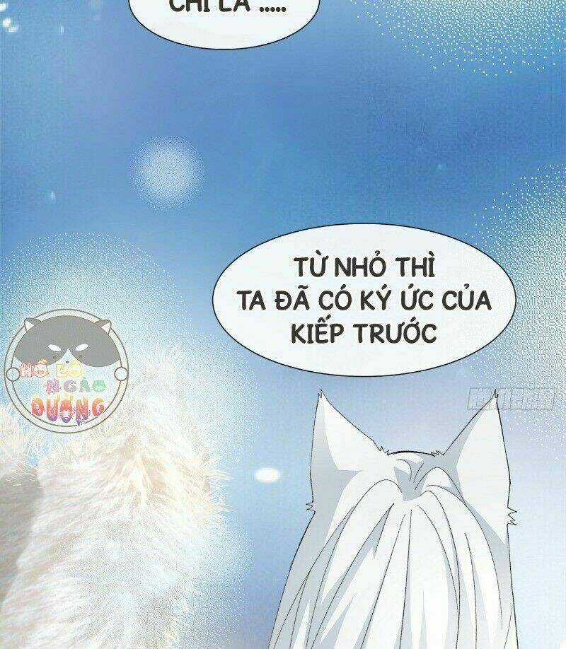 Ảnh Đế Yêu Hồ Chapter 34 trang 34