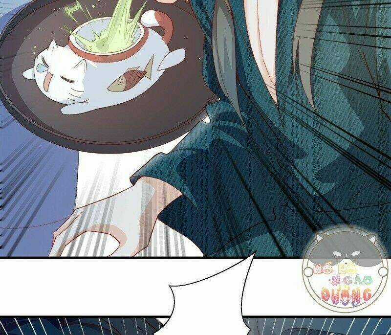 Ảnh Đế Yêu Hồ Chapter 34 trang 69