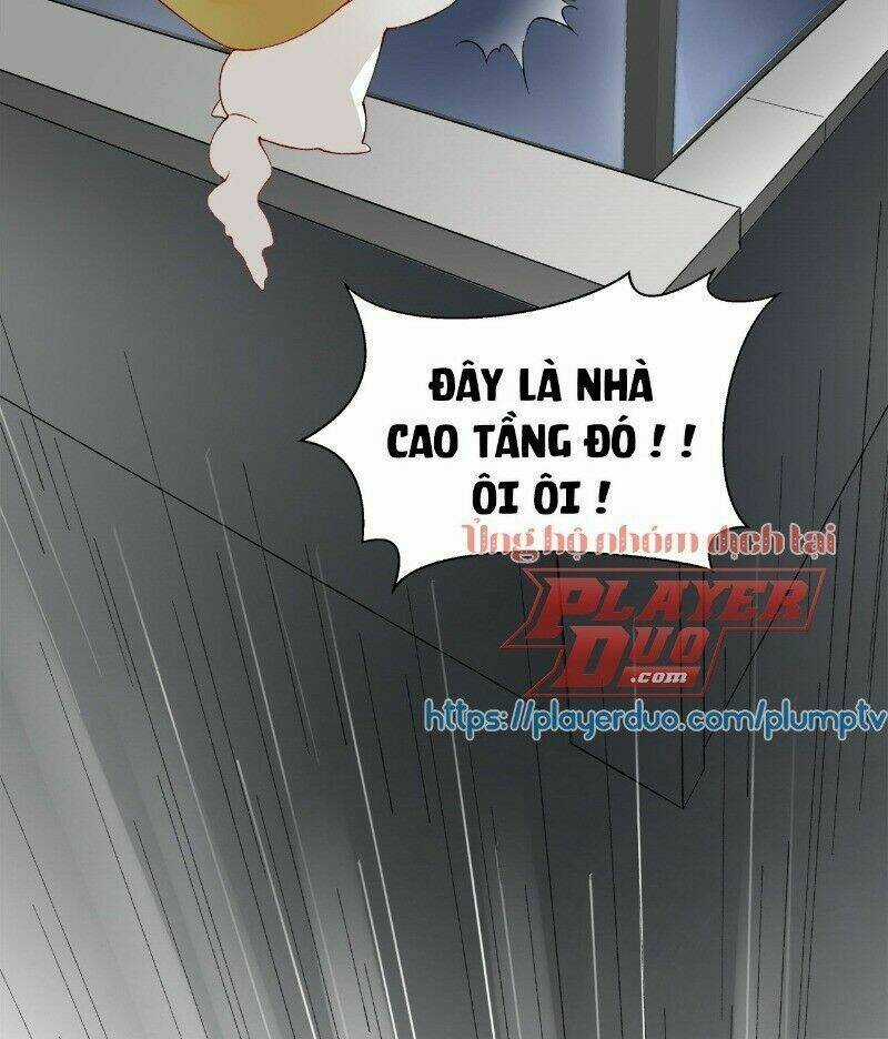 Ảnh Đế Yêu Hồ Chapter 39 trang 11