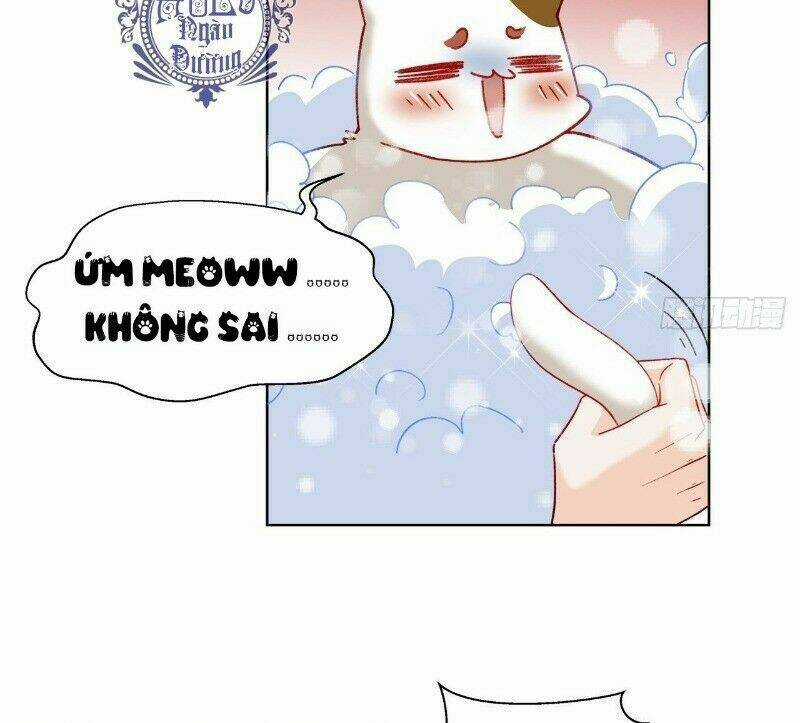 Ảnh Đế Yêu Hồ Chapter 39 trang 16