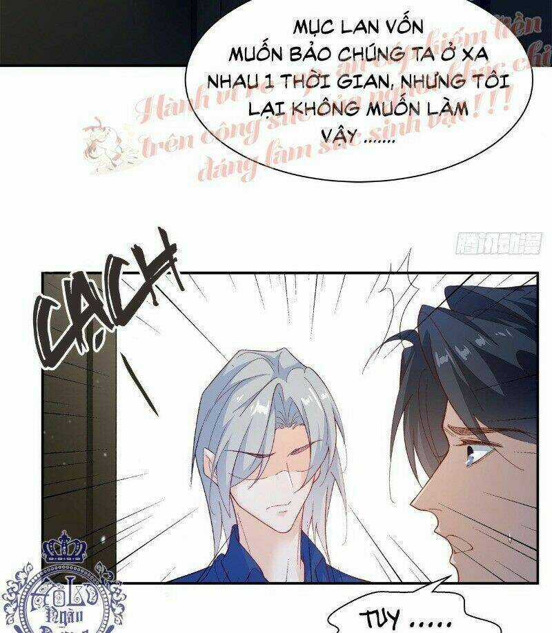 Ảnh Đế Yêu Hồ Chapter 39 trang 40