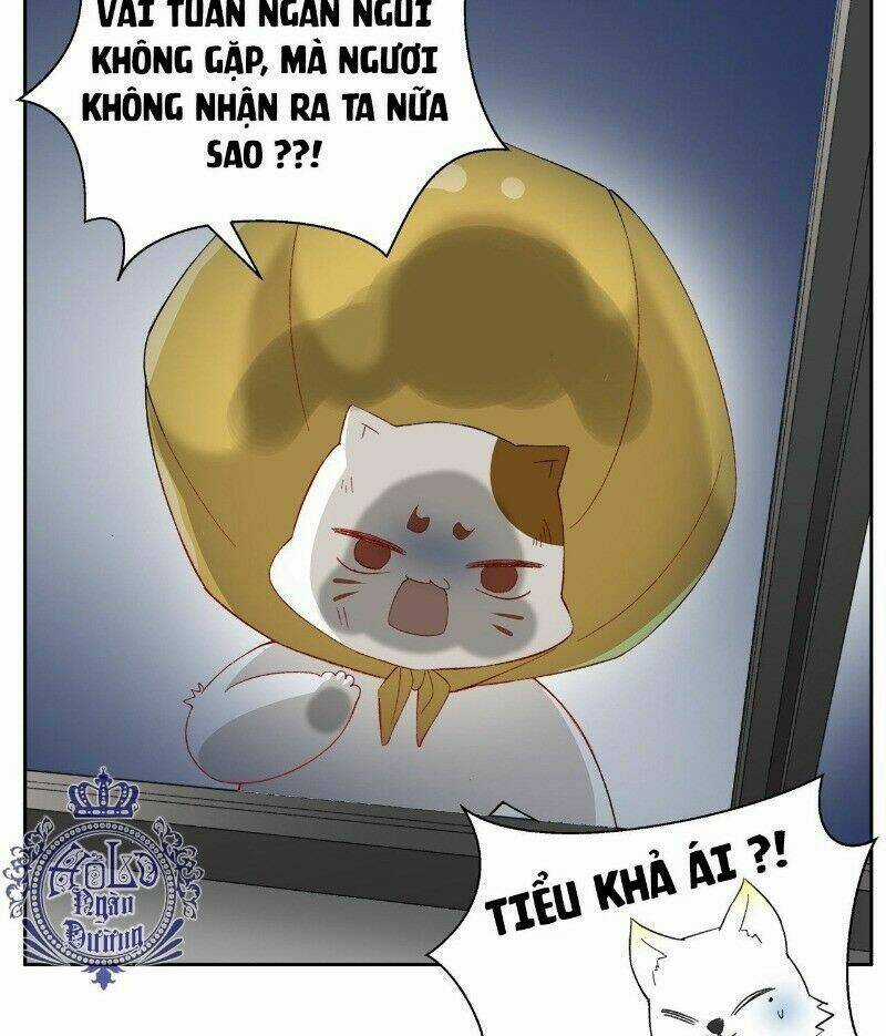 Ảnh Đế Yêu Hồ Chapter 39 trang 8