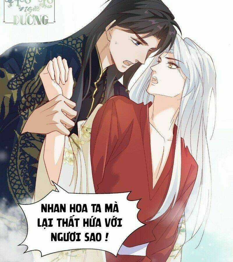 Ảnh Đế Yêu Hồ Chapter 40 trang 32