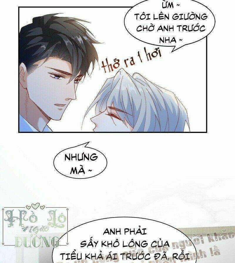 Ảnh Đế Yêu Hồ Chapter 40 trang 6