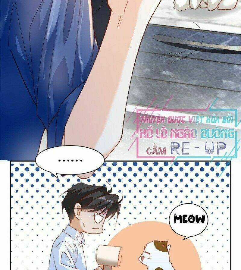 Ảnh Đế Yêu Hồ Chapter 40 trang 8