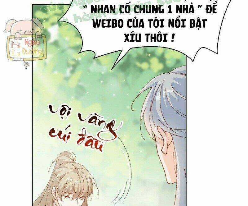 Ảnh Đế Yêu Hồ Chapter 41 trang 12