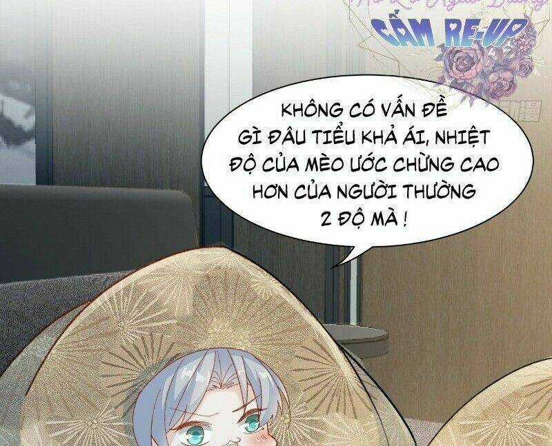 Ảnh Đế Yêu Hồ Chapter 41 trang 25