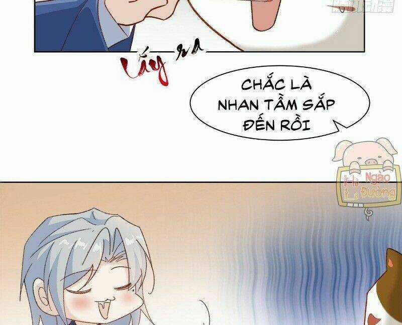 Ảnh Đế Yêu Hồ Chapter 41 trang 27