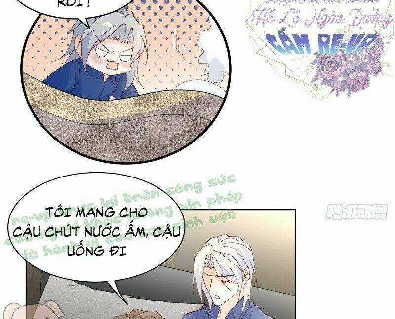 Ảnh Đế Yêu Hồ Chapter 41 trang 30