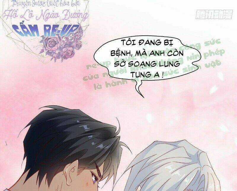 Ảnh Đế Yêu Hồ Chapter 41 trang 35