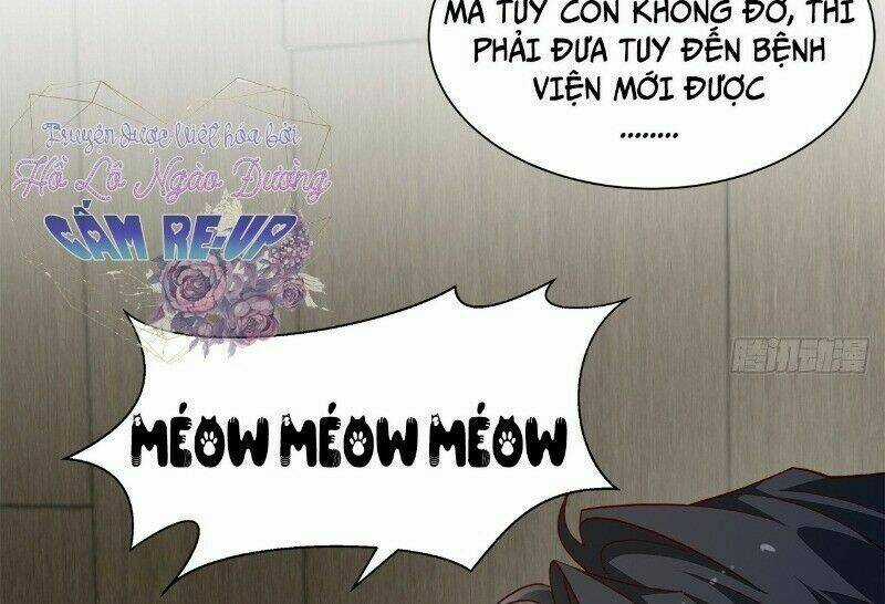 Ảnh Đế Yêu Hồ Chapter 41 trang 52